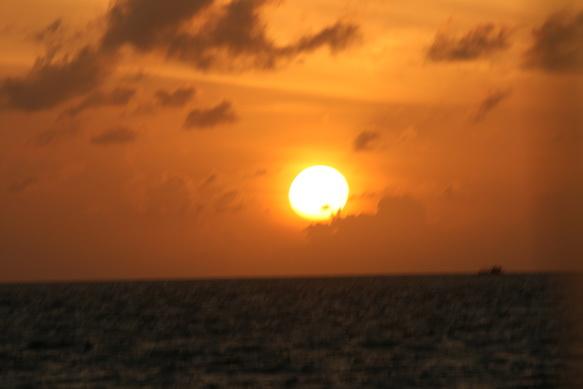 IMG_8569.JPG